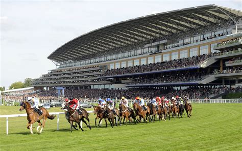Race of the Day .